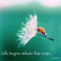 Life begins where fear ends —Osho